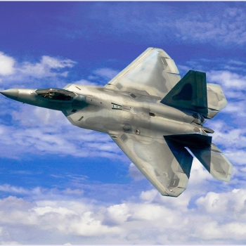 F-22 Raptor in Flight