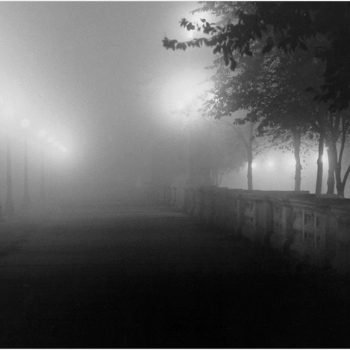 A Light in the Night