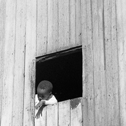 Boy in the Window